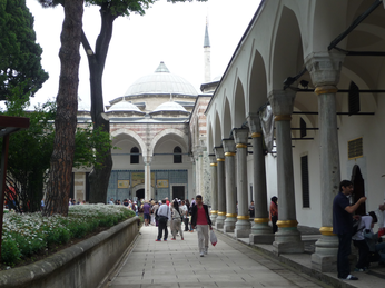 P1040347.JPG 3456x2592 index 103